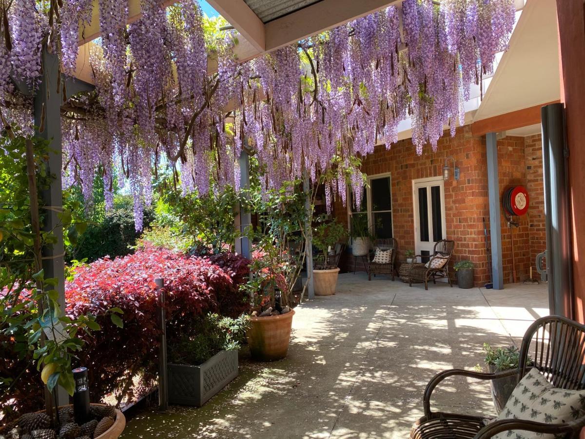 Twelve On Albert Beechworth Esterno foto