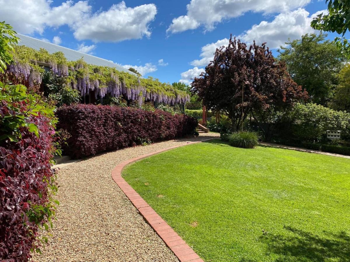 Twelve On Albert Beechworth Esterno foto