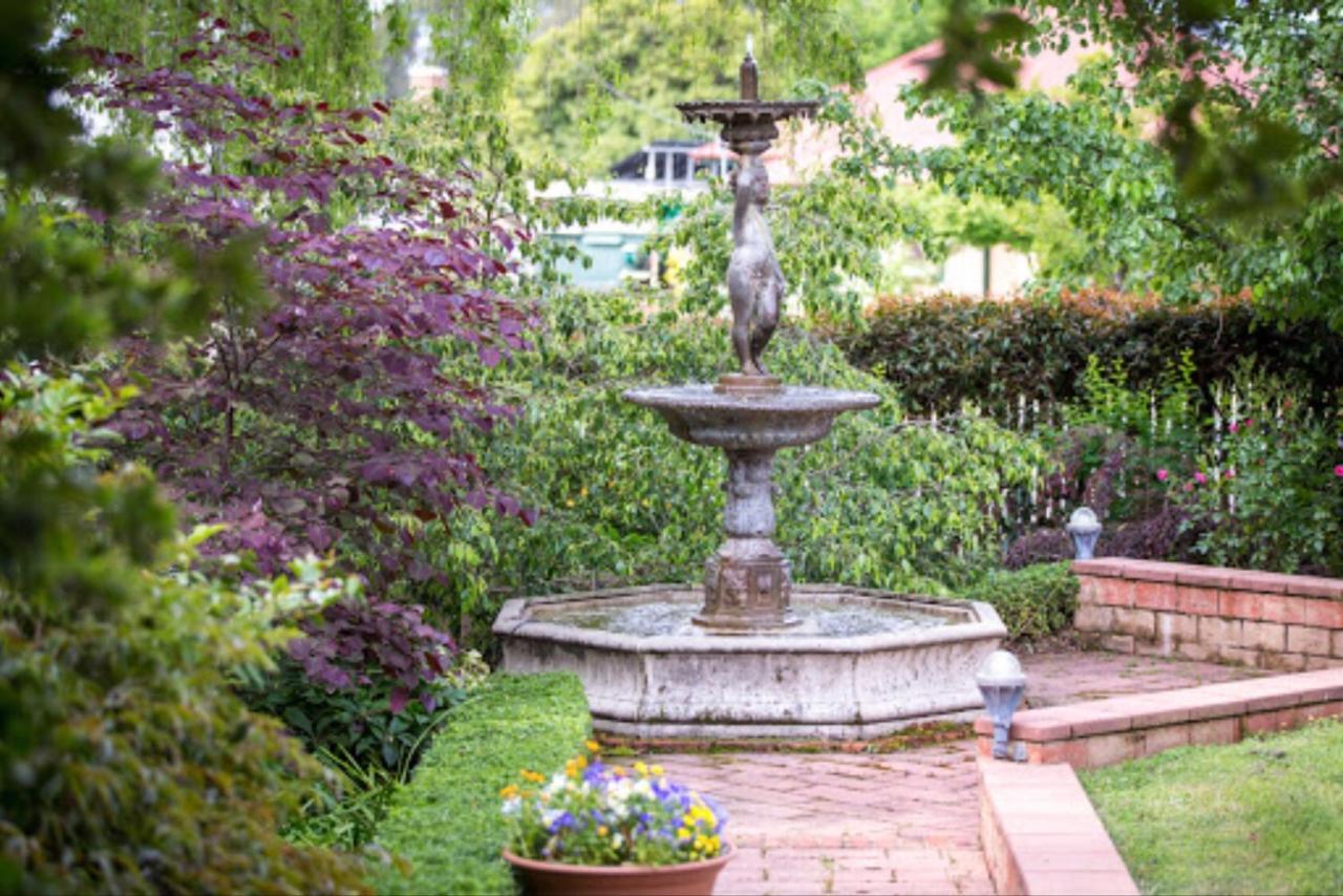 Twelve On Albert Beechworth Esterno foto