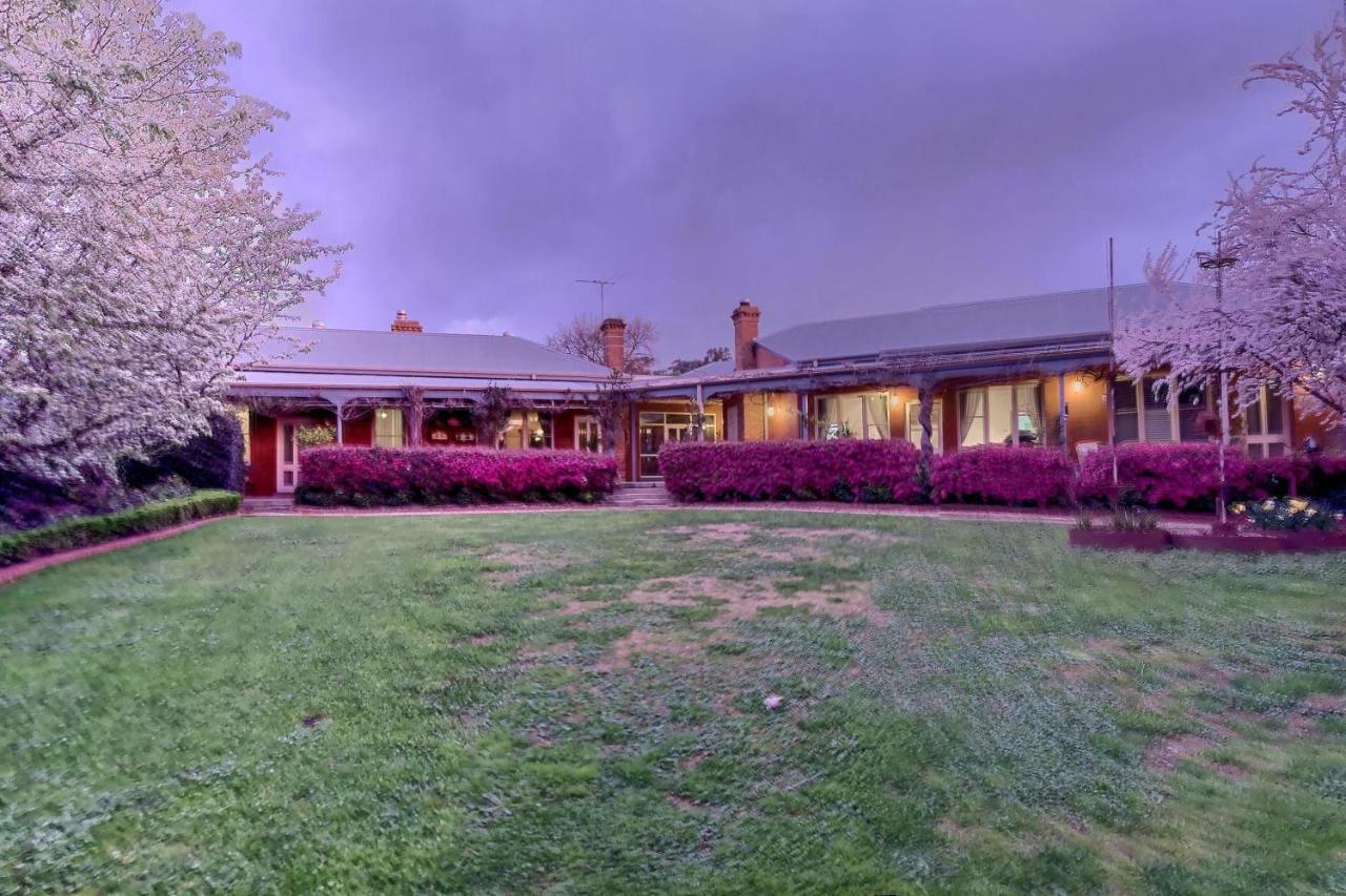 Twelve On Albert Beechworth Esterno foto